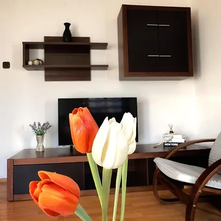 Apartmán Nasaly Urban